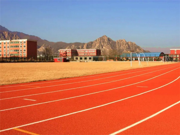 东营市学校跑道学校塑胶跑道 - 推荐
